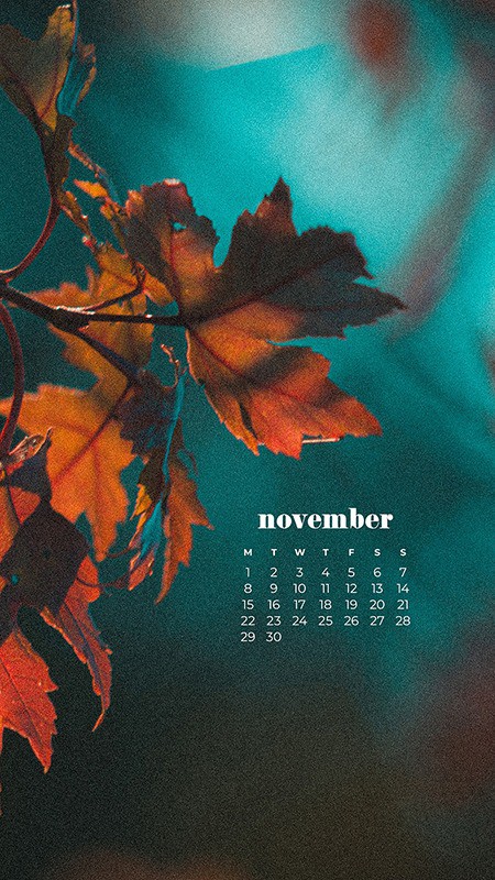 35 FREE NOVEMBER 2021 CALENDAR WALLPAPERS TO DRESS YOUR TECH, Oh So Lovely Blog