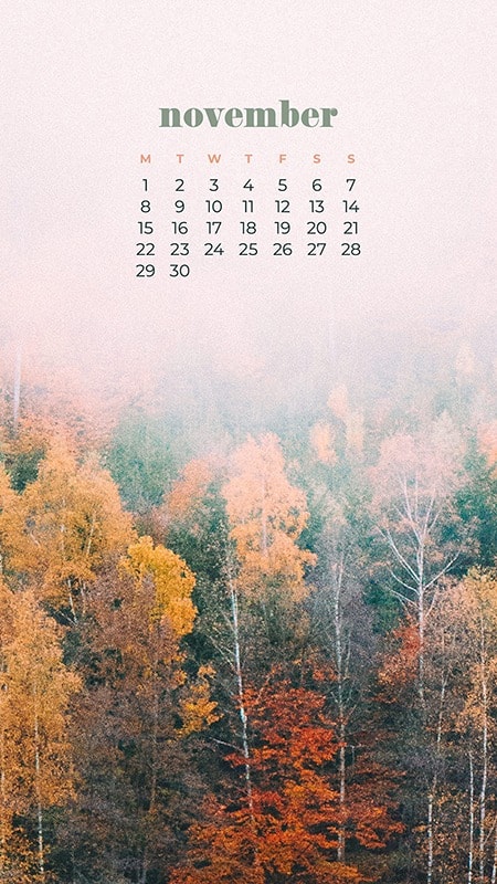 35 FREE NOVEMBER 2021 CALENDAR WALLPAPERS TO DRESS YOUR TECH, Oh So Lovely Blog