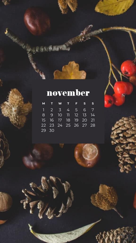 35 FREE NOVEMBER 2021 CALENDAR WALLPAPERS TO DRESS YOUR TECH, Oh So Lovely Blog