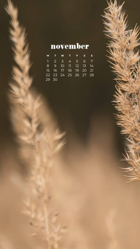 35 FREE NOVEMBER 2021 CALENDAR WALLPAPERS TO DRESS YOUR TECH, Oh So Lovely Blog