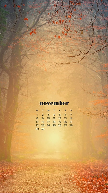 35 FREE NOVEMBER 2021 CALENDAR WALLPAPERS TO DRESS YOUR TECH, Oh So Lovely Blog