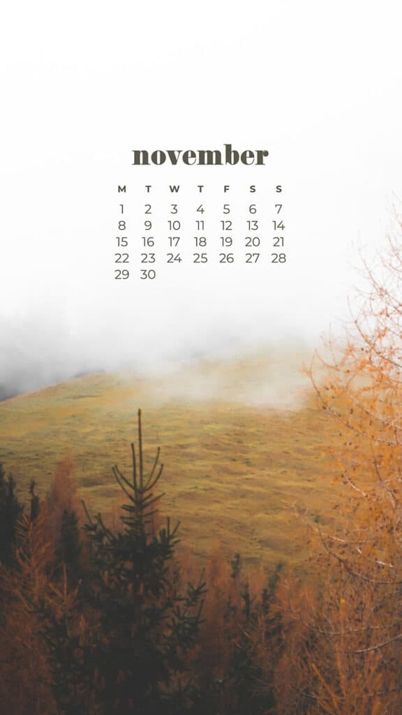 35 FREE NOVEMBER 2021 CALENDAR WALLPAPERS TO DRESS YOUR TECH, Oh So Lovely Blog