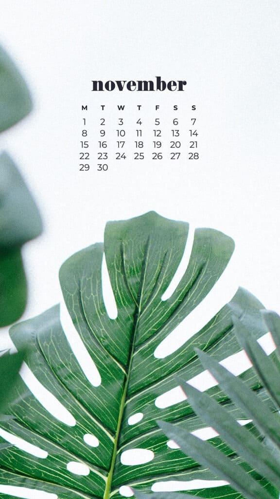 35 FREE NOVEMBER 2021 CALENDAR WALLPAPERS TO DRESS YOUR TECH, Oh So Lovely Blog