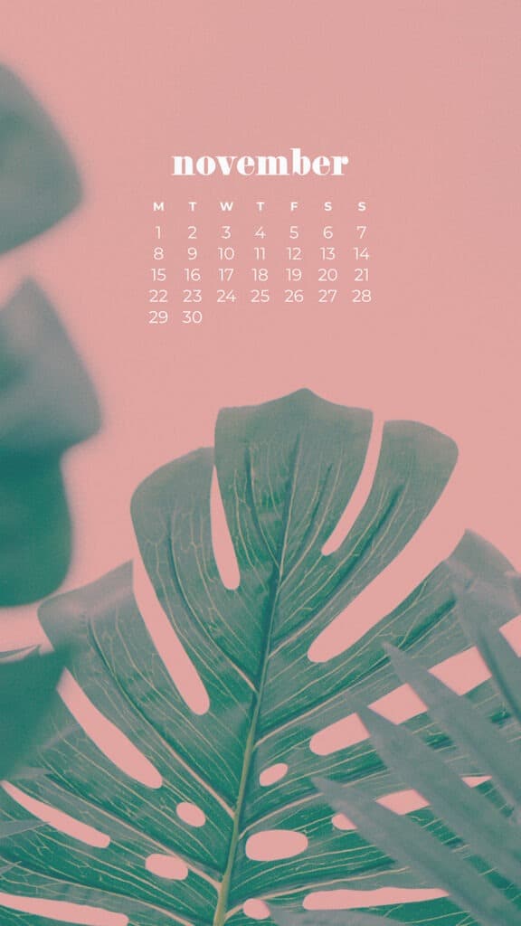 35 FREE NOVEMBER 2021 CALENDAR WALLPAPERS TO DRESS YOUR TECH, Oh So Lovely Blog