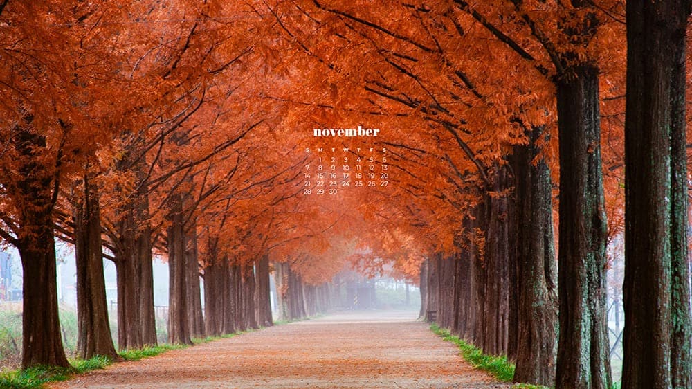 pathway with red trees in fall plus a calendar November - FREE wallpaper calendars in Sunday & Monday starts + no-calendar designs. 35 options for both desktop and smart phones! 