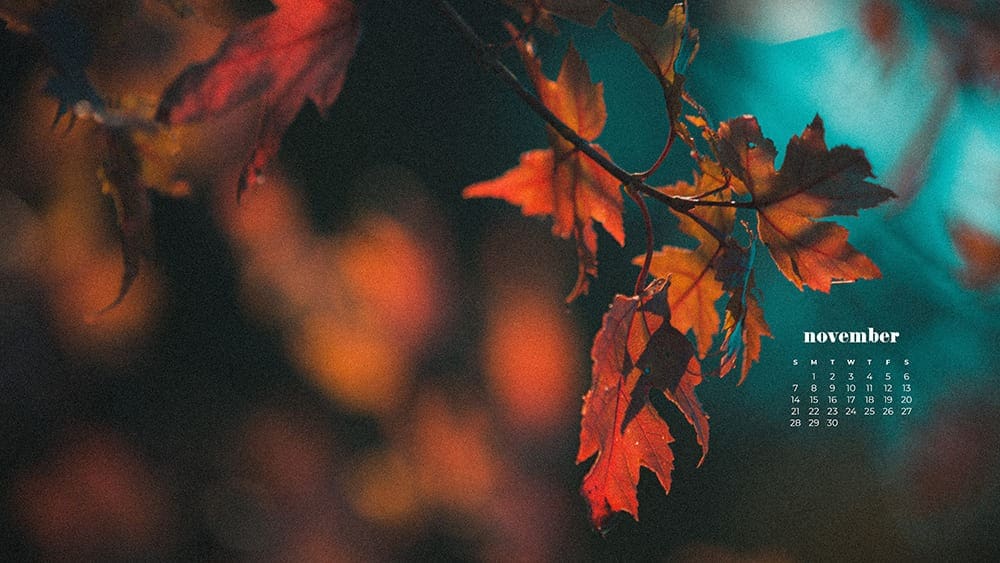 beautiful red tree at fall on a turquoise background November - FREE wallpaper calendars in Sunday & Monday starts + no-calendar designs. 35 options for both desktop and smart phones!