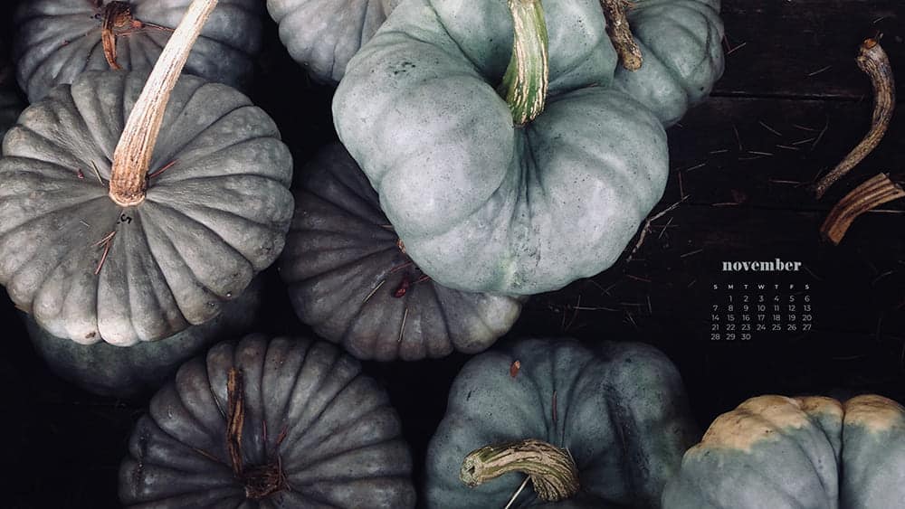 pretty blue, green, and gray pumpkins November - FREE wallpaper calendars in Sunday & Monday starts + no-calendar designs. 35 options for both desktop and smart phones!