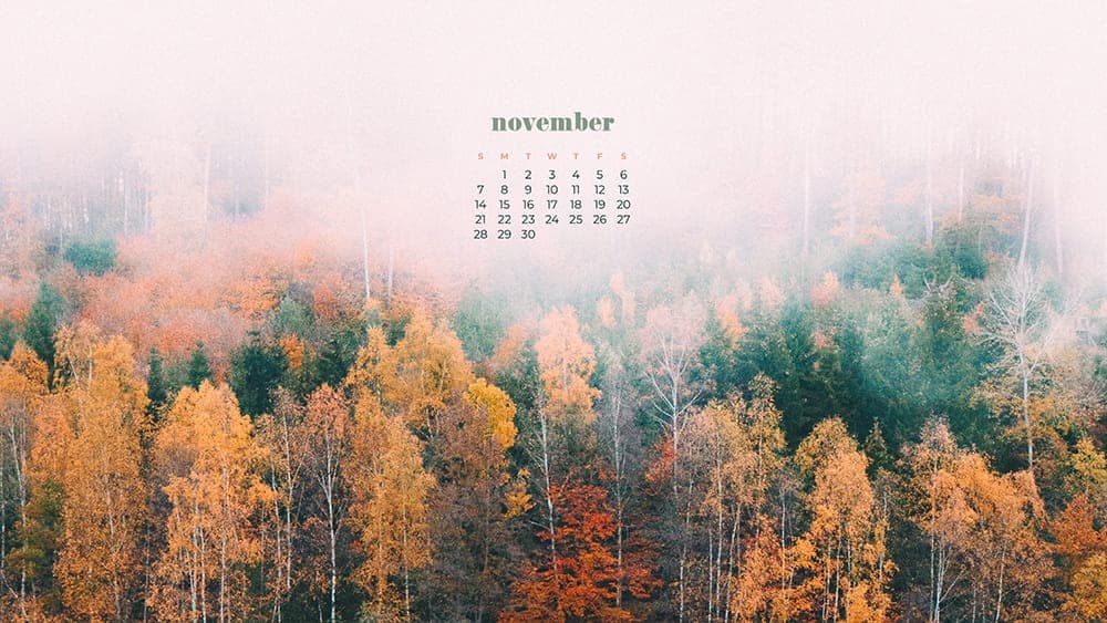 colorful Fall trees with fog November - FREE wallpaper calendars in Sunday & Monday starts + no-calendar designs. 35 options for both desktop and smart phones!