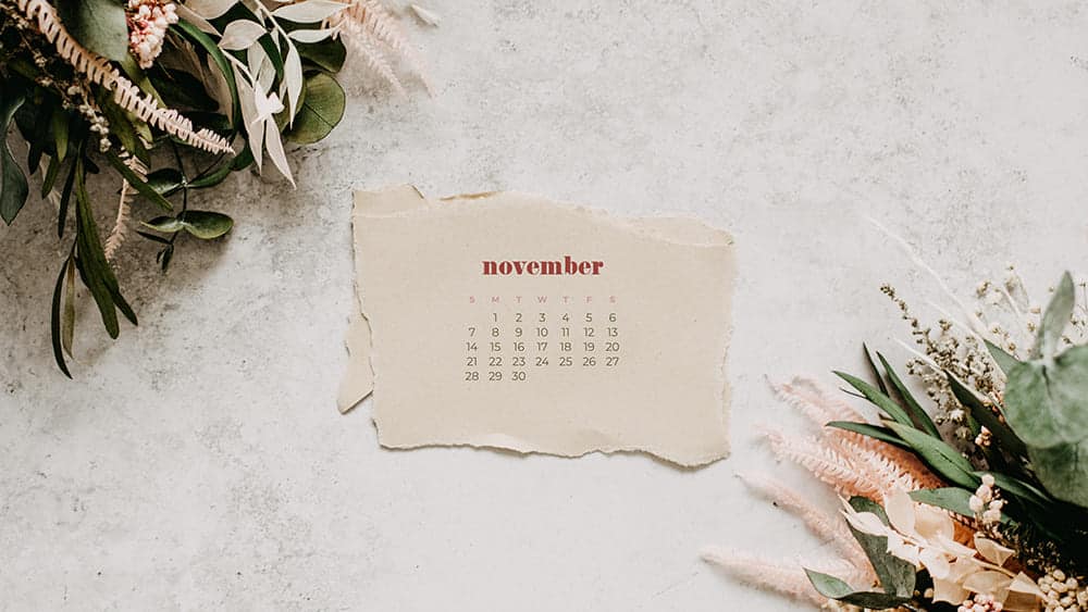 simple background with fall florals and a paper with a november calendar on it November - FREE wallpaper calendars in Sunday & Monday starts + no-calendar designs. 35 options for both desktop and smart phones!