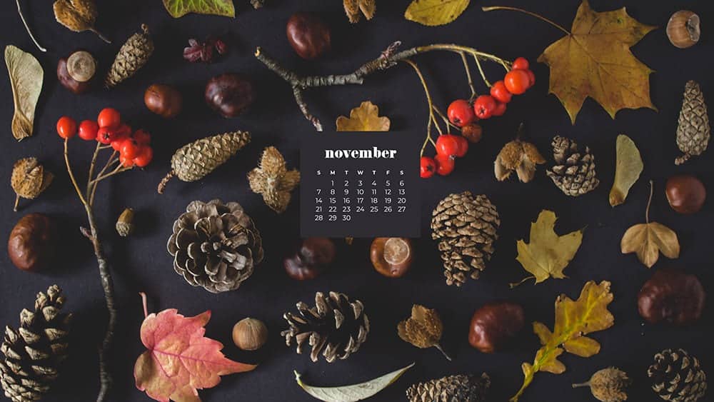 Fall foliage flat lay on a dark charcoal gray background November - FREE wallpaper calendars in Sunday & Monday starts + no-calendar designs. 35 options for both desktop and smart phones!