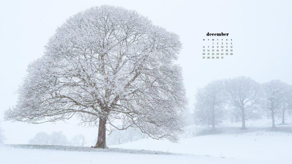 85 FREE DECEMBER 2021 CALENDAR WALLPAPERS TO DRESS YOUR TECH, Oh So Lovely Blog