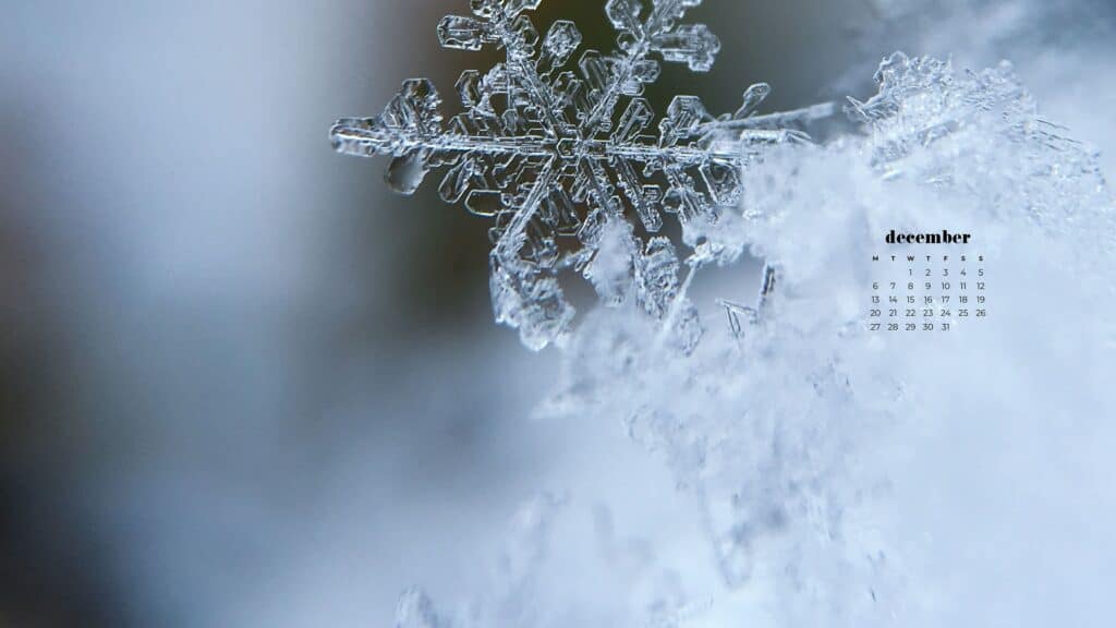 zoom in melting snowflake in a winter forest - free december digital wallpapers