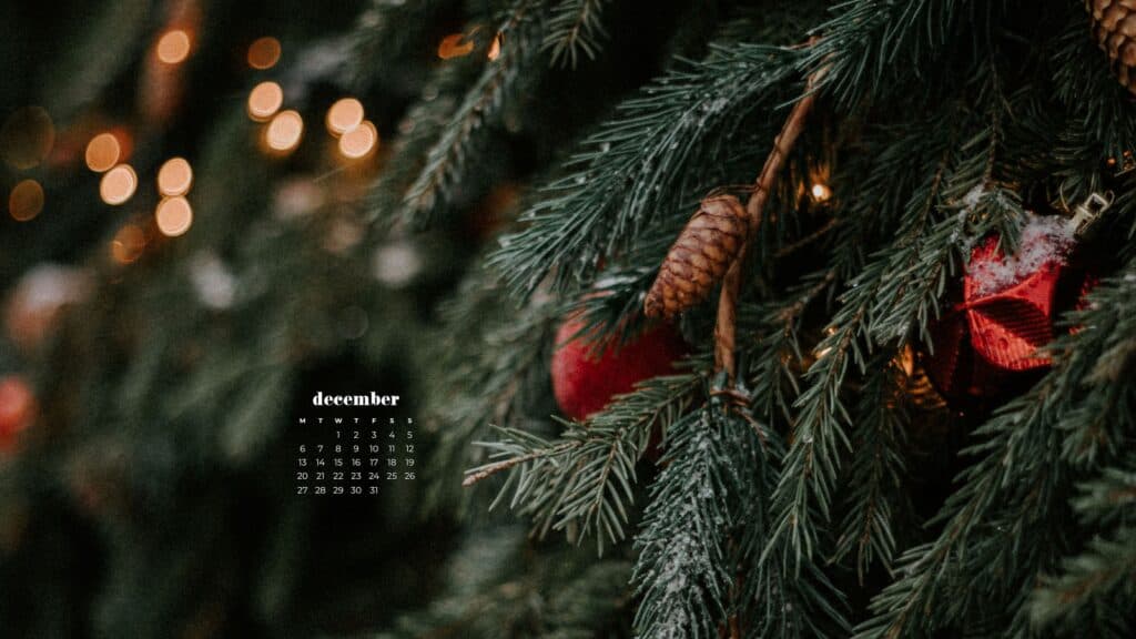outdoor christmas pine tree with glowing lights bokeh blur - free december digital wallpapers