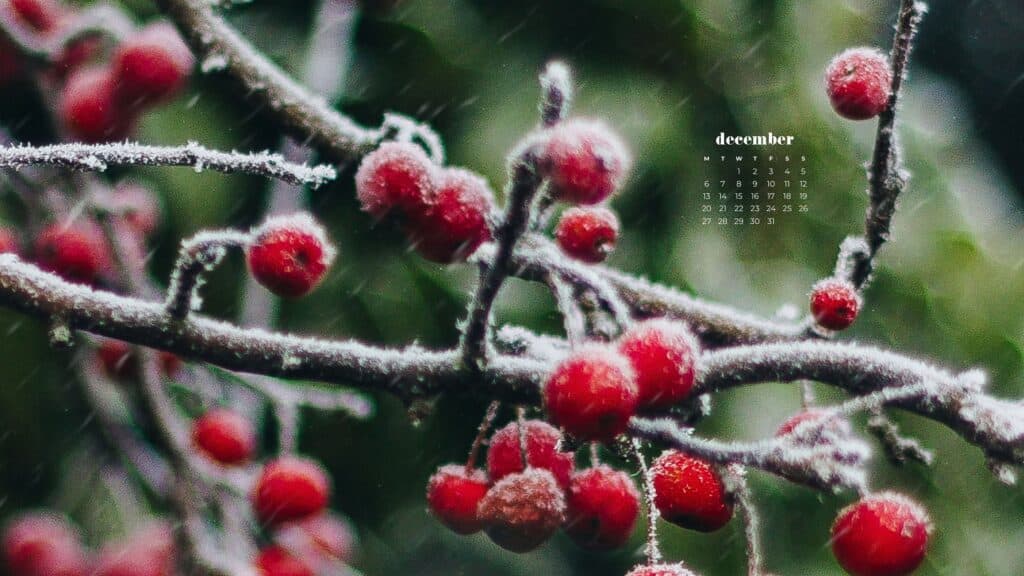 85 FREE DECEMBER 2021 CALENDAR WALLPAPERS TO DRESS YOUR TECH, Oh So Lovely Blog