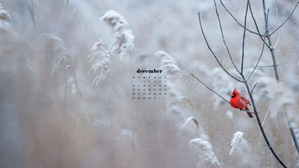 85 FREE DECEMBER 2021 CALENDAR WALLPAPERS TO DRESS YOUR TECH, Oh So Lovely Blog