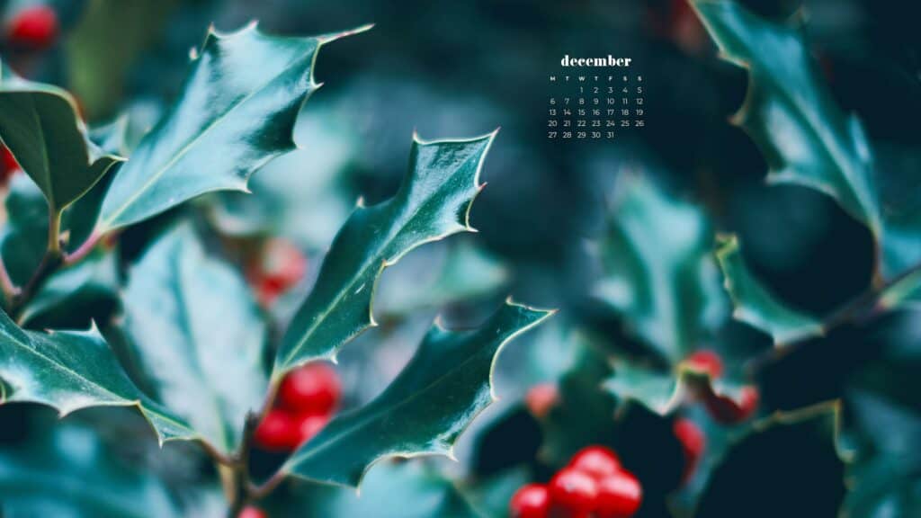 85 FREE DECEMBER 2021 CALENDAR WALLPAPERS TO DRESS YOUR TECH, Oh So Lovely Blog