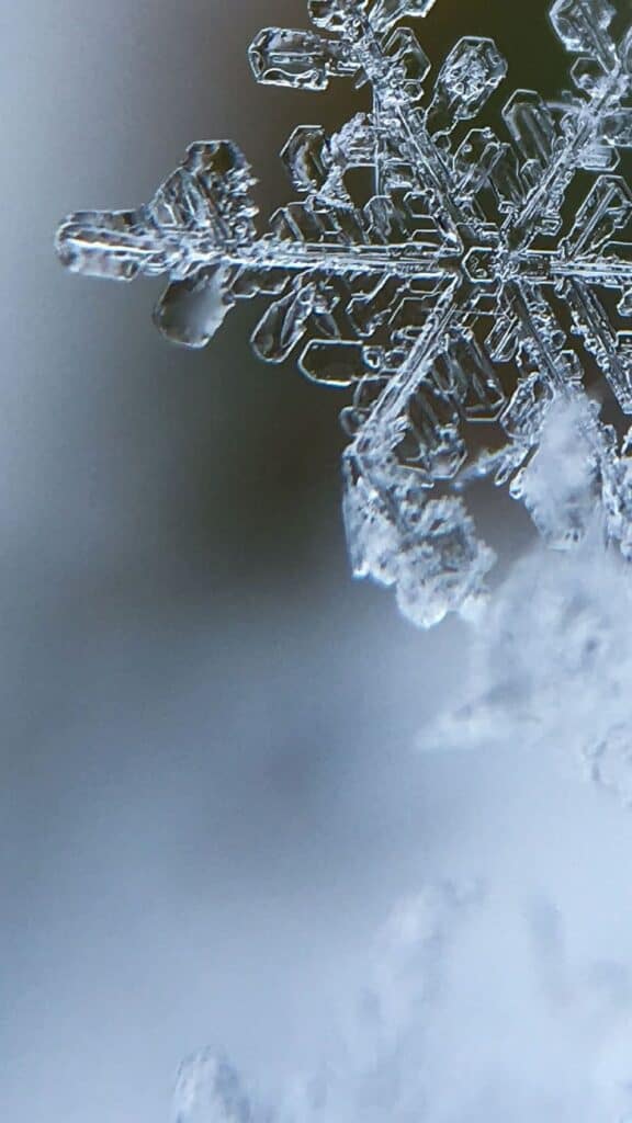 zoom in melting snowflake in a winter forest - free december digital wallpapers