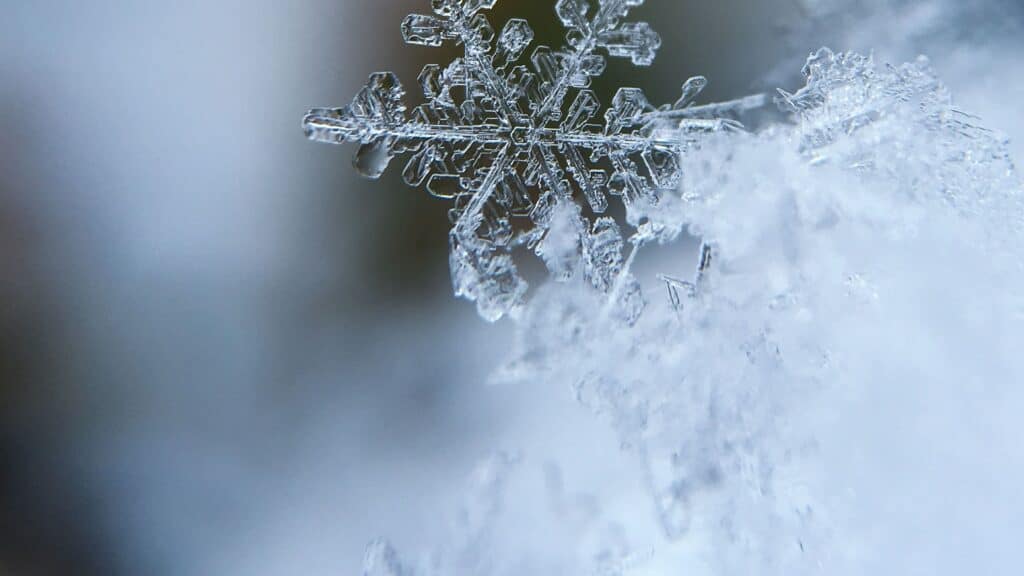 zoom in melting snowflake in a winter forest - free december digital wallpapers