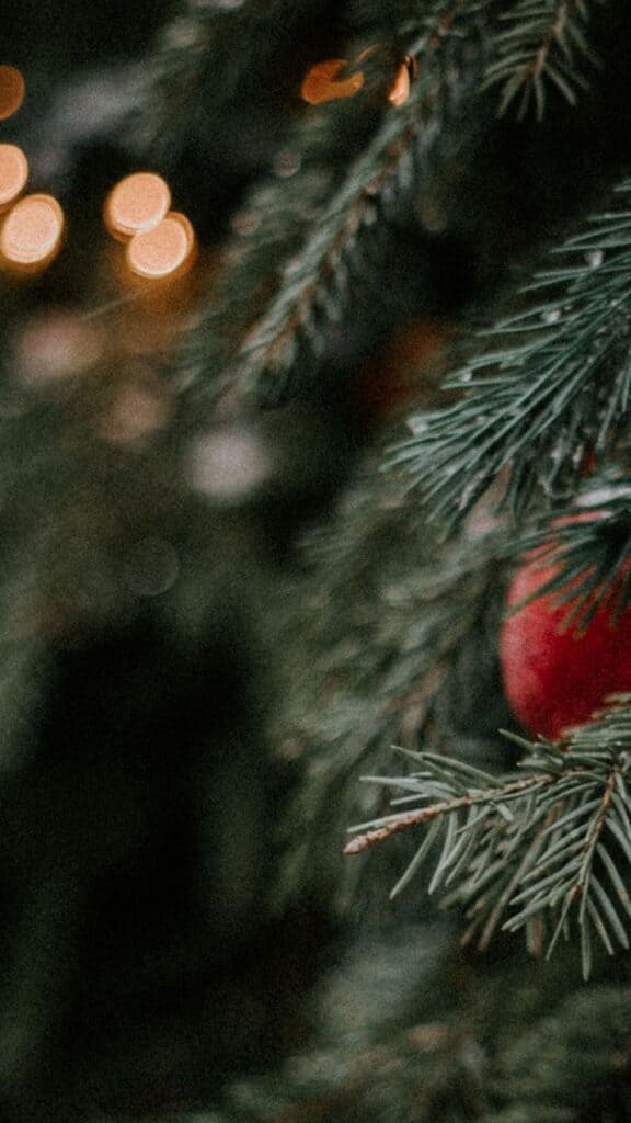 outdoor christmas pine tree with glowing lights bokeh blur - free december digital wallpapers