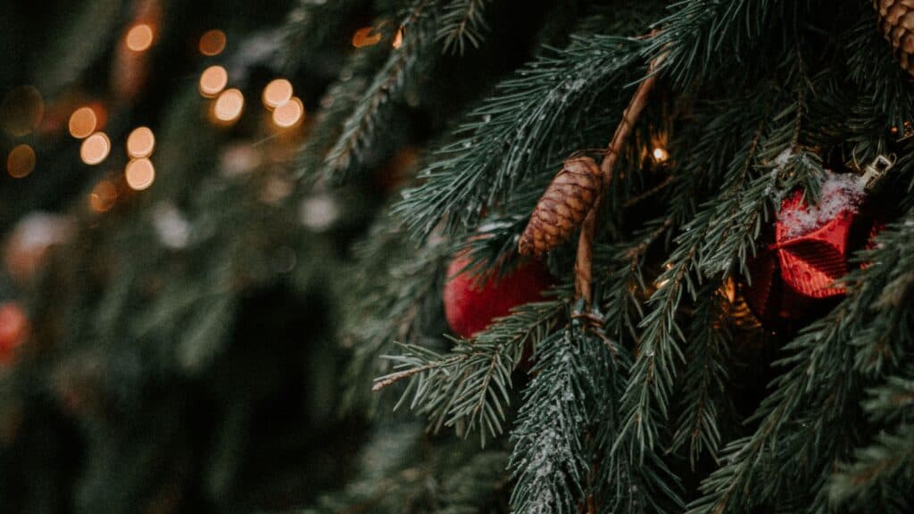 outdoor christmas pine tree with glowing lights bokeh blur - free december digital wallpapers