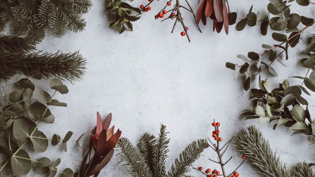 flat lay of holiday berries and greenery on a gray white background - free december digital wallpapers