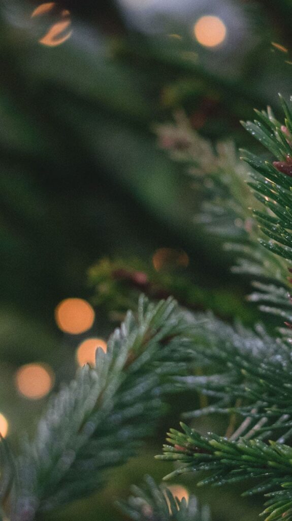 outdoor christmas pine tree with glowing lights bokeh blur - free december digital wallpapers