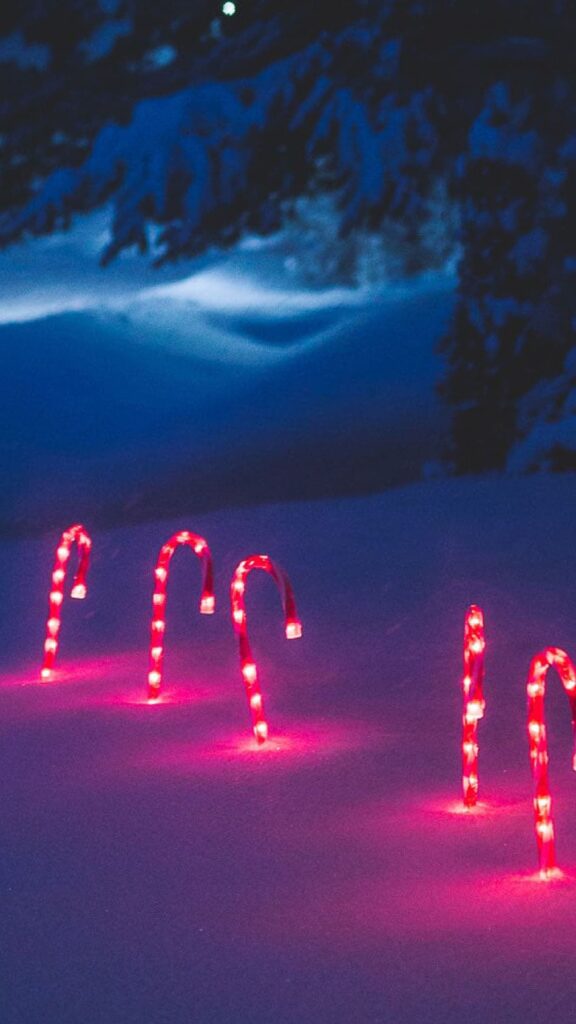 snowy evening with pine trees and glowing candy cane lights - december digital wallpapers