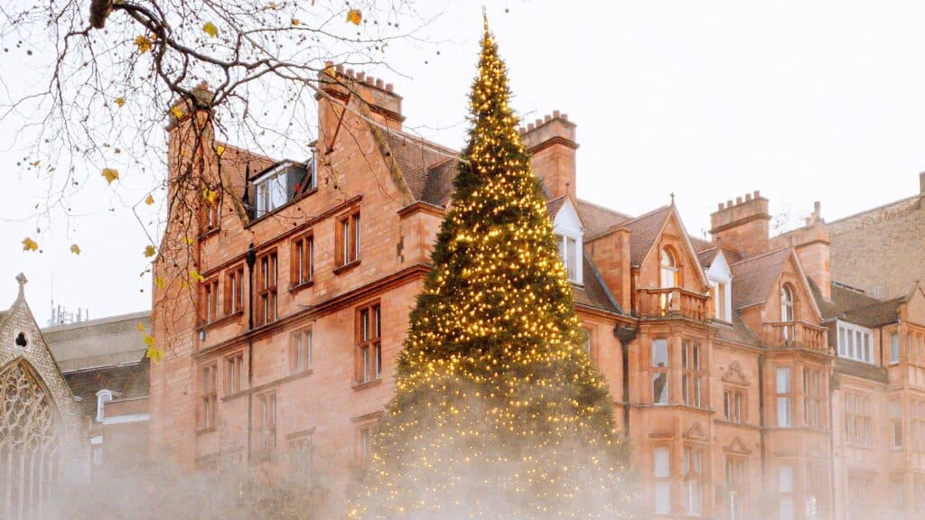 coral pink mansion castle with a beautiful large pine tree with lights - free december digital wallpapers