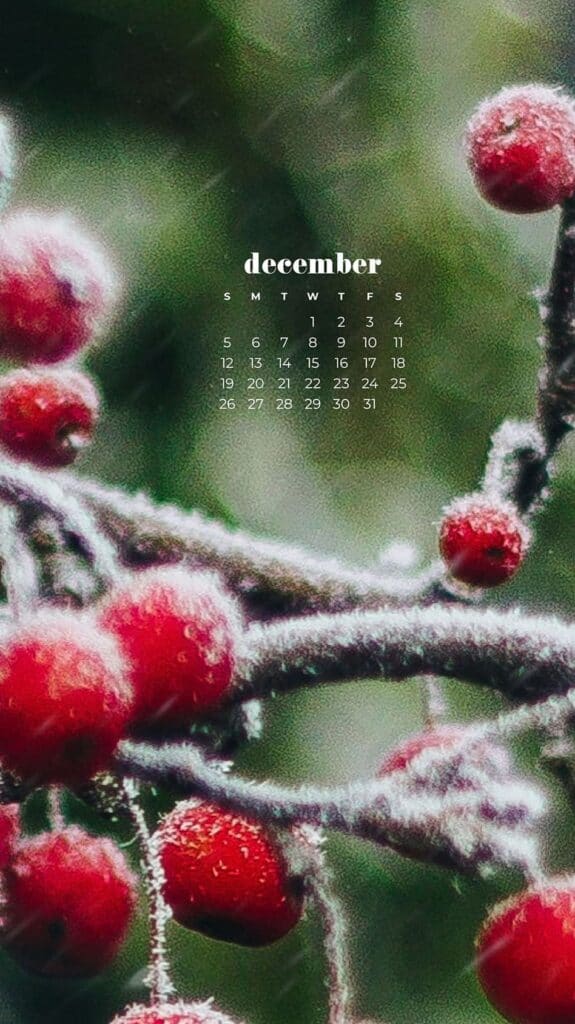 85 FREE DECEMBER 2021 CALENDAR WALLPAPERS TO DRESS YOUR TECH, Oh So Lovely Blog