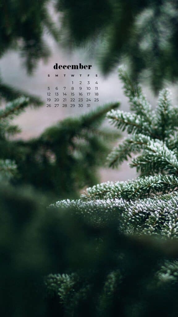 85 FREE DECEMBER 2021 CALENDAR WALLPAPERS TO DRESS YOUR TECH, Oh So Lovely Blog