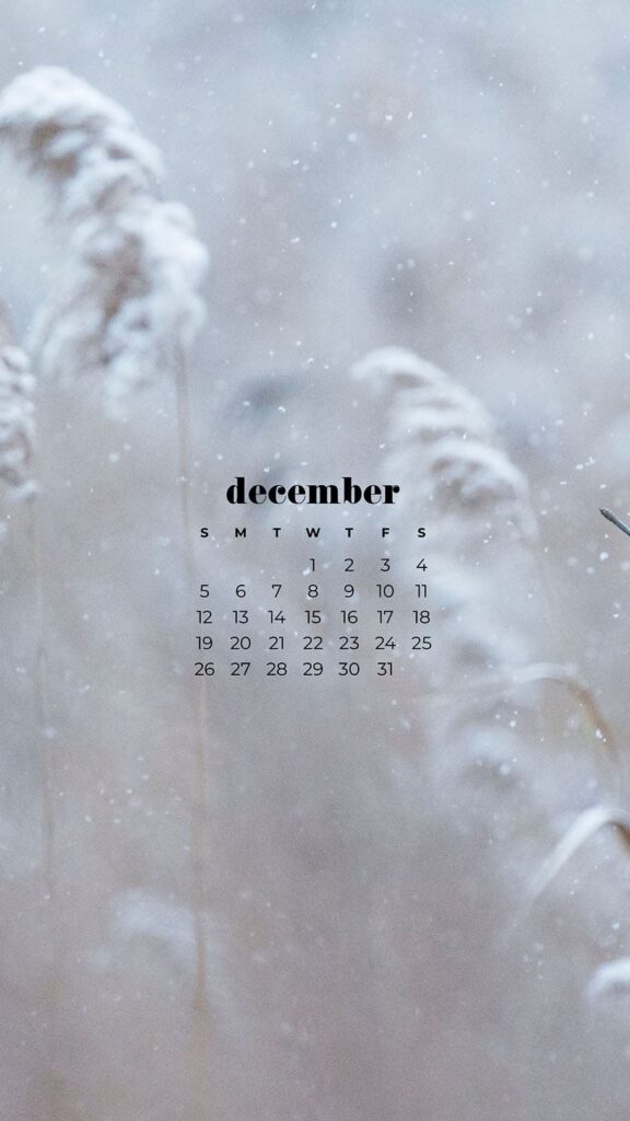 85 FREE DECEMBER 2021 CALENDAR WALLPAPERS TO DRESS YOUR TECH, Oh So Lovely Blog