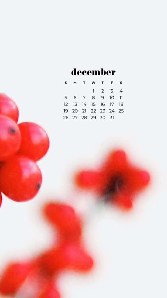 85 FREE DECEMBER 2021 CALENDAR WALLPAPERS TO DRESS YOUR TECH, Oh So Lovely Blog