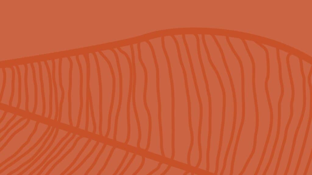 zoomed in burnt orange leaf on orange background FREE fall wallpapers 