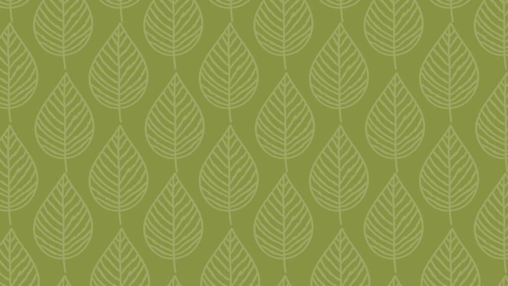 light green fall leaf illustrations on darker green background - fall wallpaper
