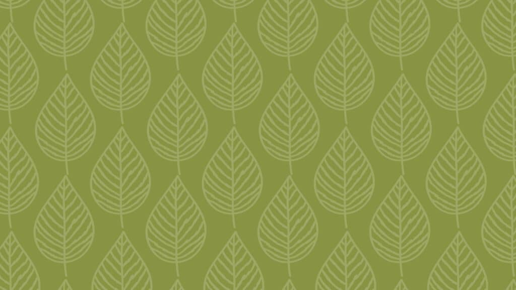 light green fall leaf illustrations on darker green background - fall wallpaper