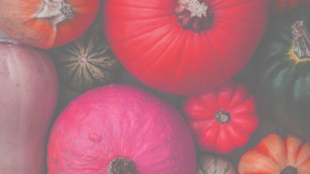 pink, orange, and red pumpkins FREE fall wallpapers 