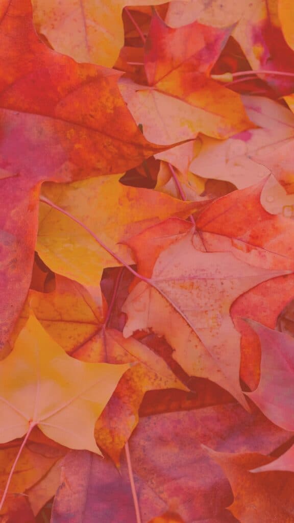 27 FREE FALL WALLPAPERS FOR DESKTOP AND PHONE, Oh So Lovely Blog