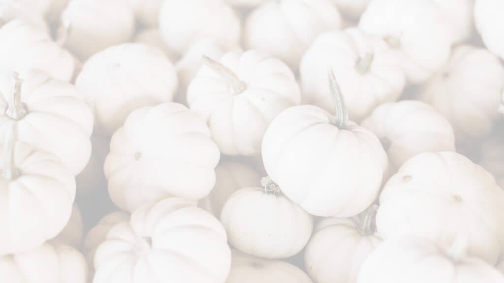 lots of white pumpkins free fall wallpapers