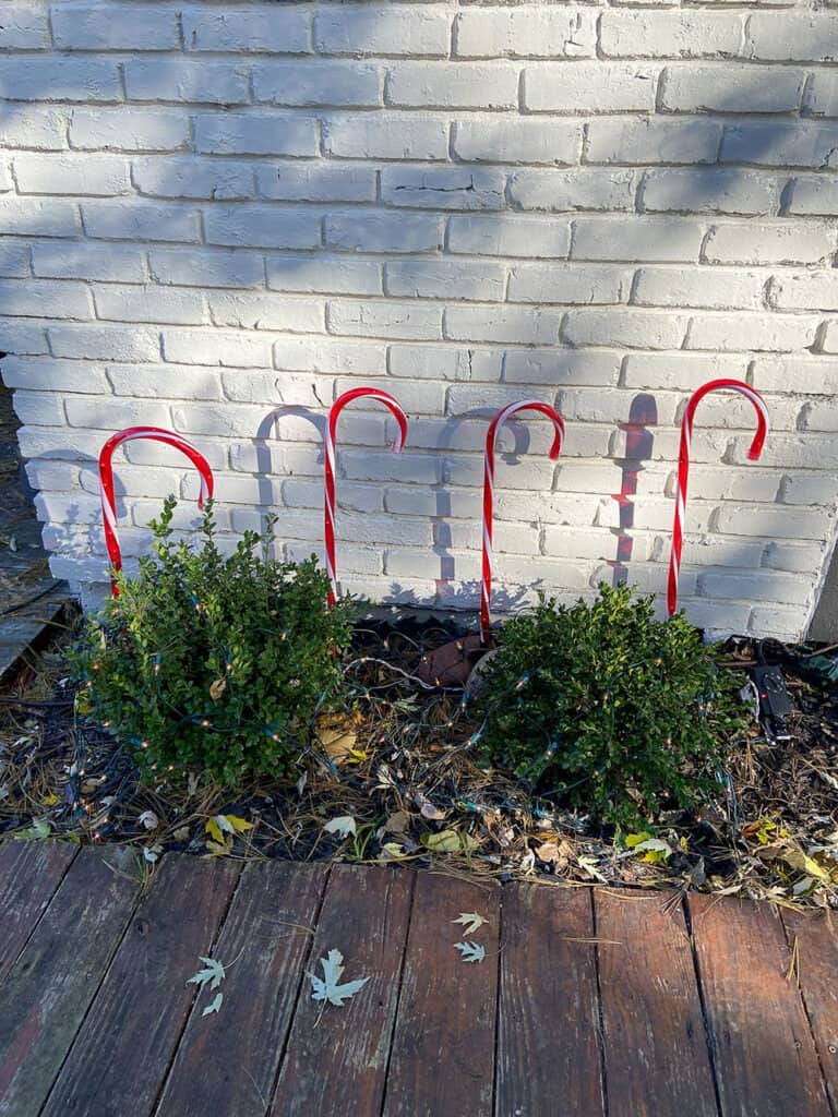 lit bushes and light up candy canes