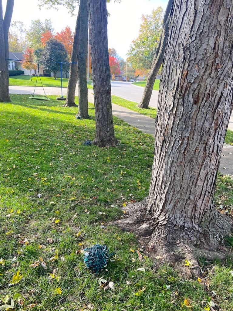 adding warm white lights to tree trunks