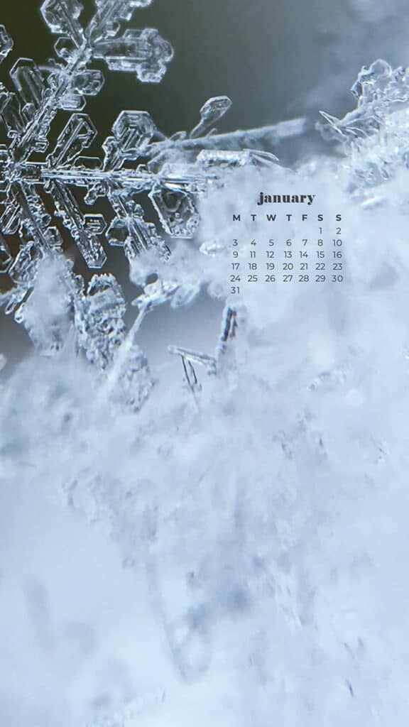 snowflake close up january 2022 wallpaper calendar