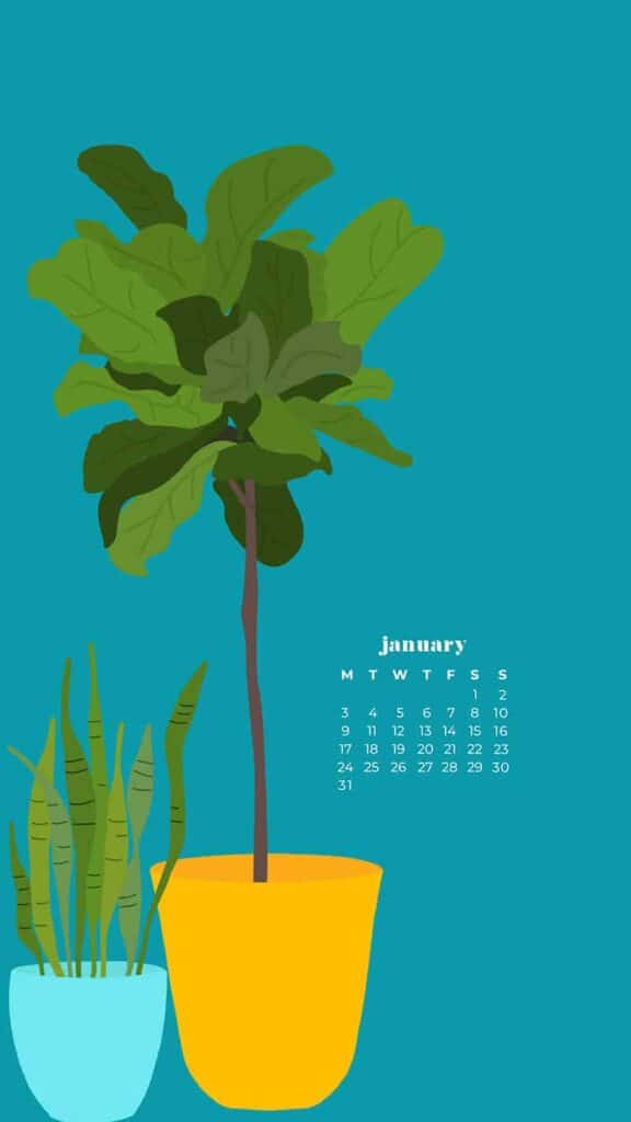 illustrated plants on dark turquoise background