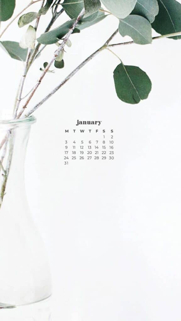 billowing plant on a white background