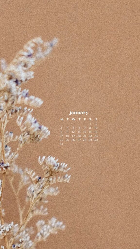 neutral pampas grass and babies breath on neutral background