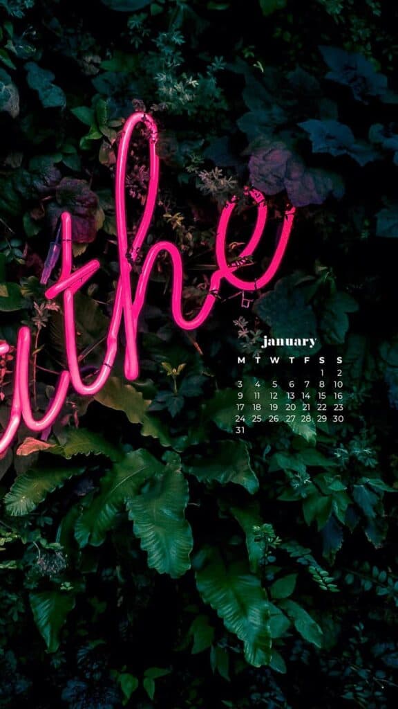 pink breathe neon lights on plant background