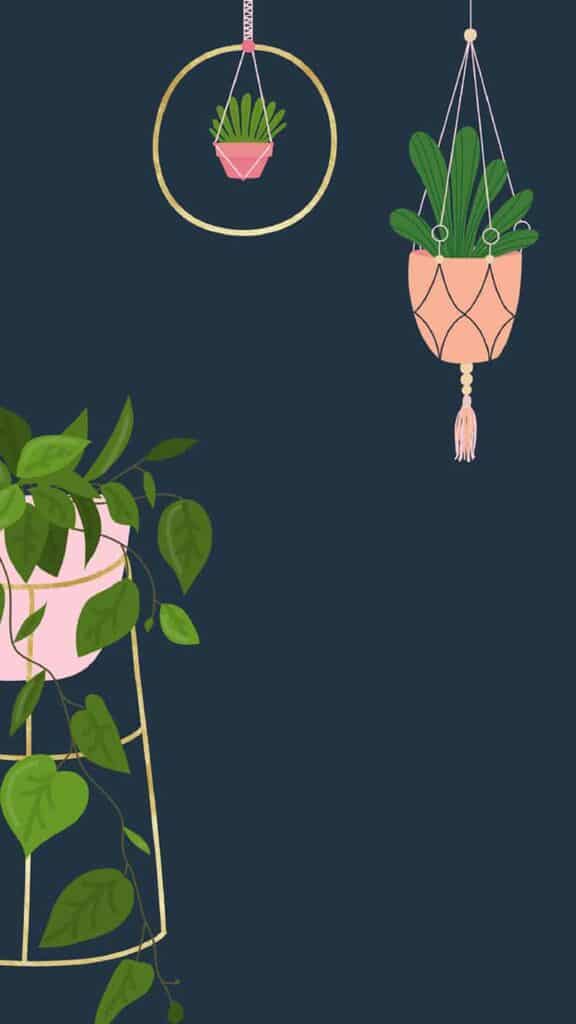 illustrated plants on navy background