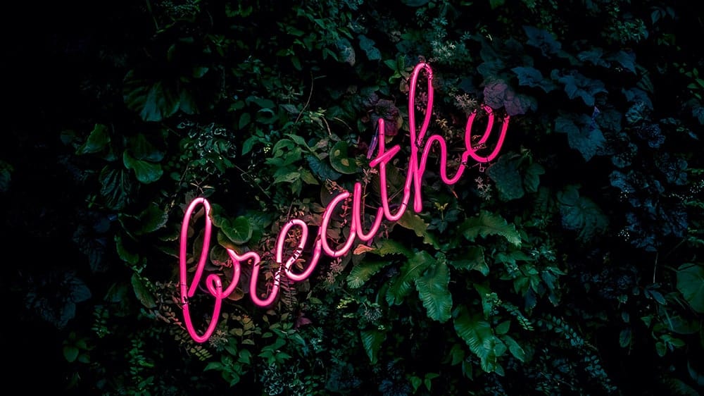 pink breathe neon lights on plant background