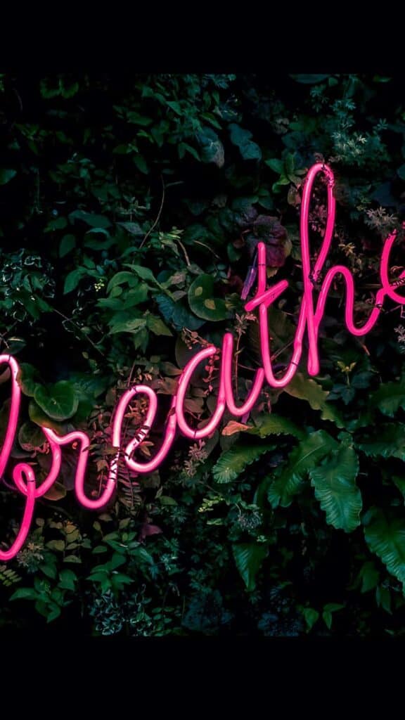 pink breathe neon lights on plant background