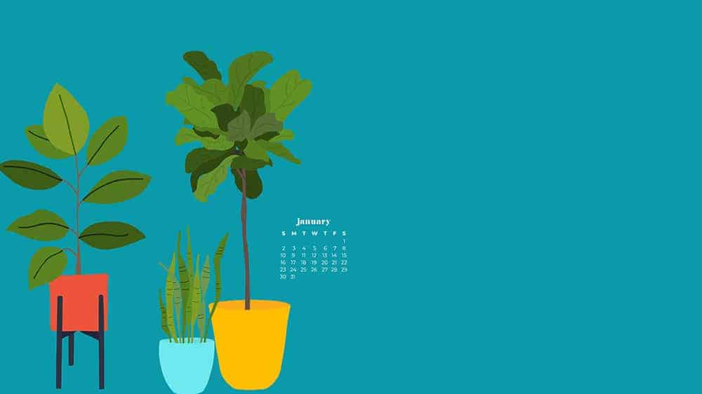 illustrated plants on dark turquoise background