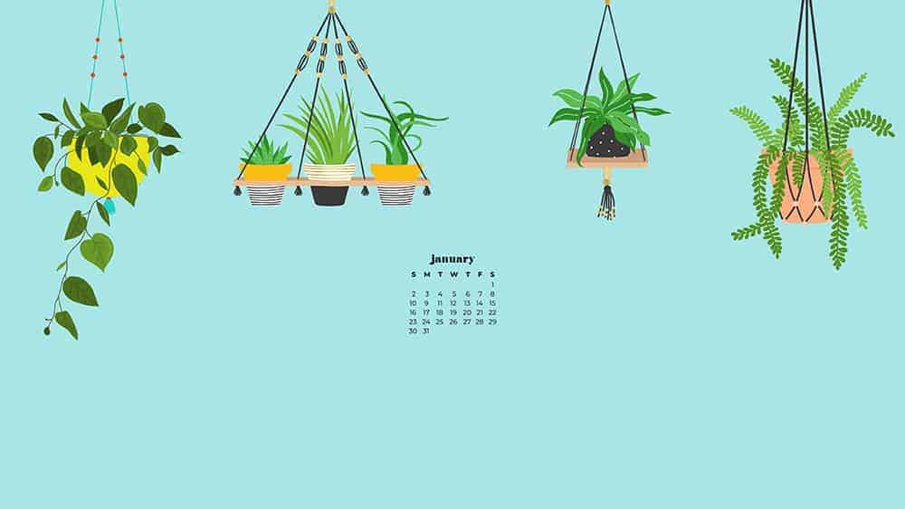 illustrated plants on light turquoise background